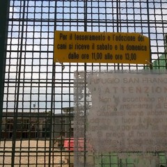 Caos al rifiugio San Francesco, scontro tra l'Oipa e la Lega Nazionale