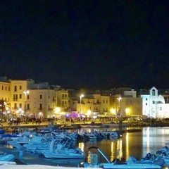 Sicurezza sul porto dopo l'omicidio Zanni