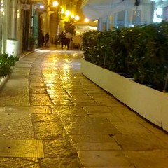 Sicurezza sul porto dopo l'omicidio Zanni