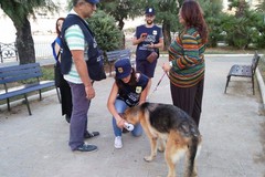 Guardie zoofile Oipa