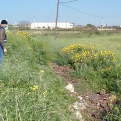 Casolare fatiscente, Amiu