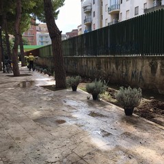 Puliamo il Mondo in Piazza Giovanni Paolo II