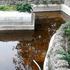 Villa Bini