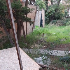 Villa Bini
