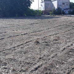 Campo via Parini e via Giacchetti