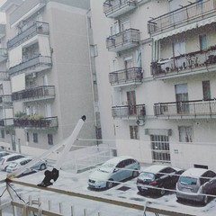 Neve a Trani il 10/01/2016