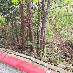 Vandali in azione al Palazzetto dello Sport