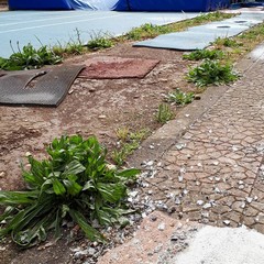 Vandali in azione al Palazzetto dello Sport