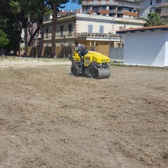 Area di sgambamento a Villa Bini