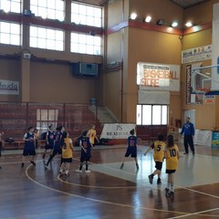 Jr NBA - Scuole Bat