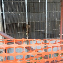 Fondaco dei Longobardi