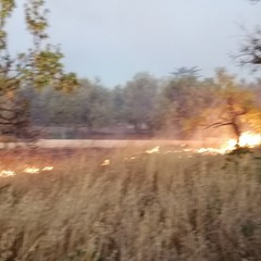 Incendio area ex psicopedagogico