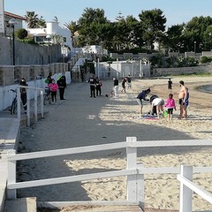 Assembramenti, interventi della Polizia locale