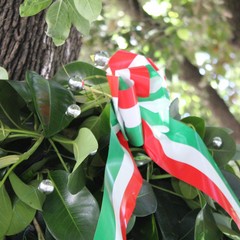 Festa della Repubblica