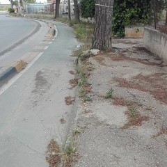 Via Martiri di Palermo