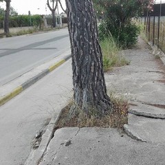 Via Martiri di Palermo