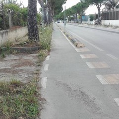 Via Martiri di Palermo