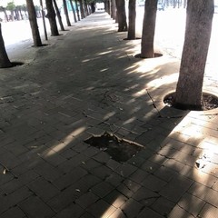 Piazza della Repubblica