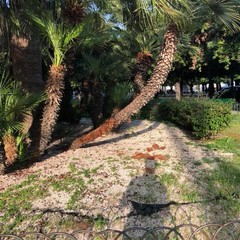 Piazza della Repubblica