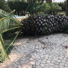 Piazza della Repubblica