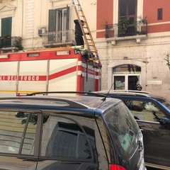 Tragedia in corso Vittorio Emanuele