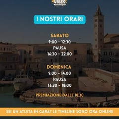 South Vibes 2025 - I edizione Trani