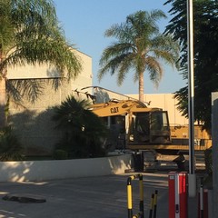 Rapina Bartolini via Andria