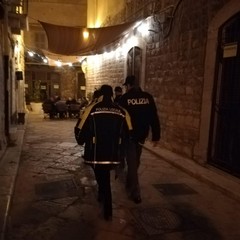 Controlli della Polizia locale e di Stato