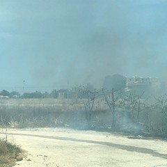 Incendio via Andria