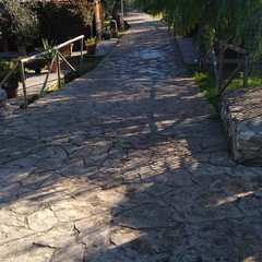 Furto nel parco Santa Geffa