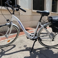 Biciclette elettriche