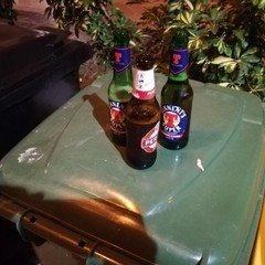 Controlli della Polizia locale e di Stato