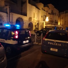 Controlli della Polizia locale e di Stato