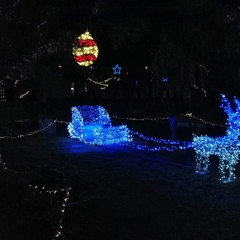 Luminarie a Villa Telesio
