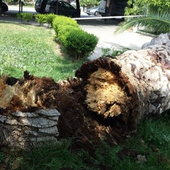 Piazza della Repubblica