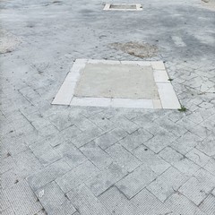 Alberi in piazza dalla Chiesa