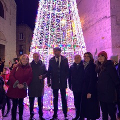 Albero Maldarizzi Bari