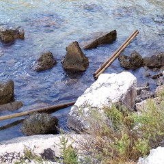 Baia del Gruccione Trani