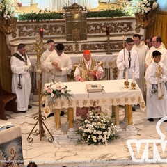 Beata Vergine del Carmelo card Angelo Bagnasco JPEG