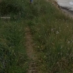 Bambino di 12 anni precipita sugli scogli