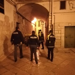 Controlli della Polizia locale e di Stato