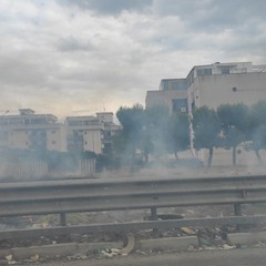 Incendio zona Sant'Angelo