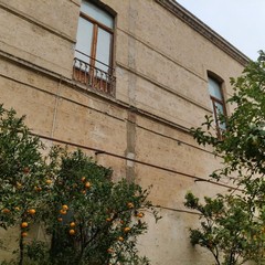 Casa di Risposo Vittorio Emanuele II Trani