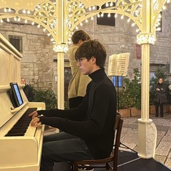 Cassa Armonica Piazza Scolanova JPEG