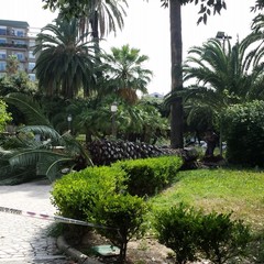 Piazza della Repubblica