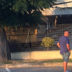 Colpo alla Bartolini trasporti