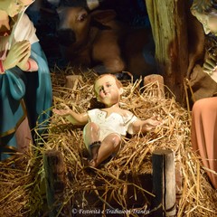 Benedizione del presepe in Piazza Libertà