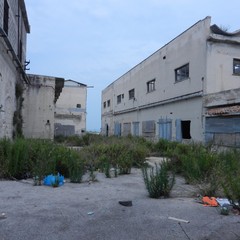 Ex distilleria Angelini