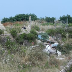 Ex distilleria Angelini