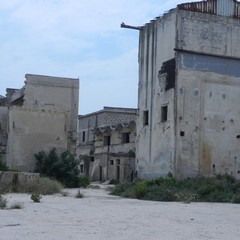 Ex distilleria Angelini